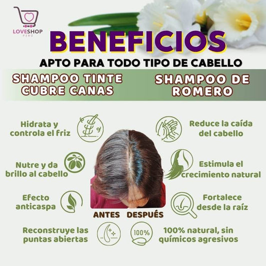 PACK 2 X 1 (SHAMPOO TINTE CUBRE CANAS 400ML + SHAMPOO ROMERO 500ML)