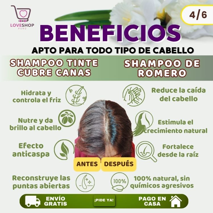 COMBO MUSA ANTICANAS + ANTICAÍDA ( SHAMPOO TINTE CUBRE CANAS 400 ML + SHAMPOO ROMERO 1 LITRO)