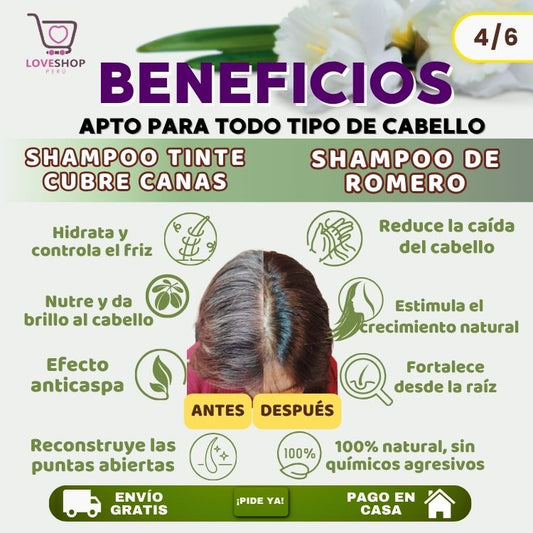 COMBO MUSA ANTICANAS + ANTICAÍDA ( SHAMPOO TINTE CUBRE CANAS 400 ML + SHAMPOO ROMERO 1 LITRO)