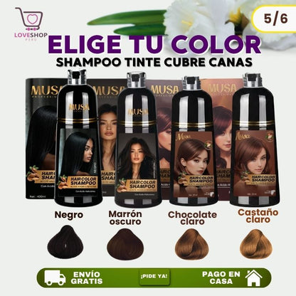 COMBO MUSA ANTICANAS + ANTICAÍDA ( SHAMPOO TINTE CUBRE CANAS 400 ML + SHAMPOO ROMERO 1 LITRO)