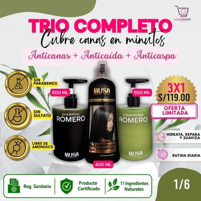 TRIO ANTICANAS+ANTICAÍDA+ANTICASPA (SHAMPOO TINTE 400 ML + SHAMPOO ROMERO 500 ML + ACONDICIONADOR 500 ML)