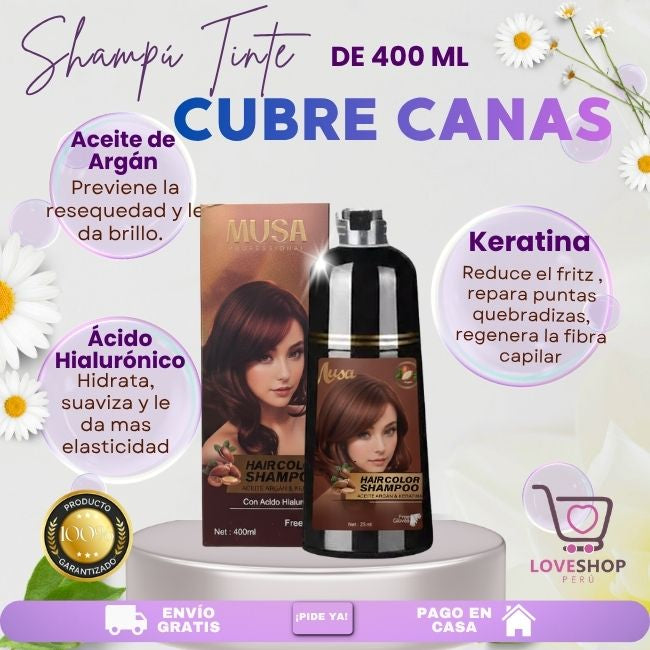 SHAMPU TINTE CUBRE CANA DE 400ML