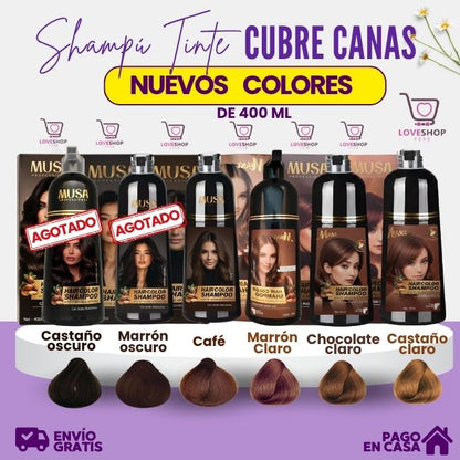 TRIO COMPLETO (SHAMPOO TINTE + SHAMPOO ROMERO + TÓNICO CAPILAR)