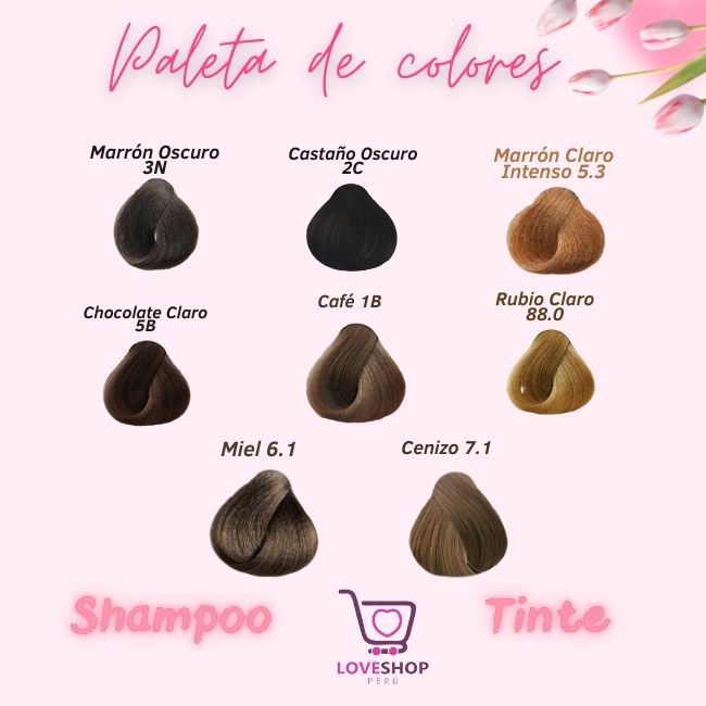 SHAMPO TINTE SACHET X10 UNID MUSA