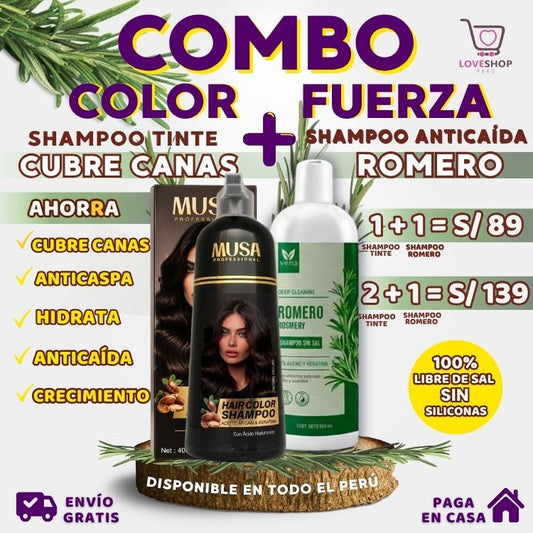 PACK 2 X 1 (SHAMPOO TINTE CUBRE CANAS 400ML + SHAMPOO ROMERO 500ML)