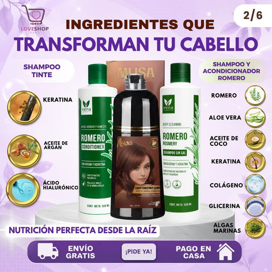 TRÍO CAPILAR COMPLETO ( SHAMPOO TINTE + SHAMPOO ROMERO + ACONDICIONADOR ROMERO)