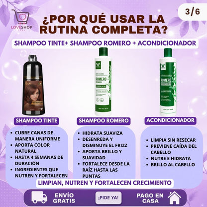 TRÍO CAPILAR COMPLETO ( SHAMPOO TINTE + SHAMPOO ROMERO + ACONDICIONADOR ROMERO)