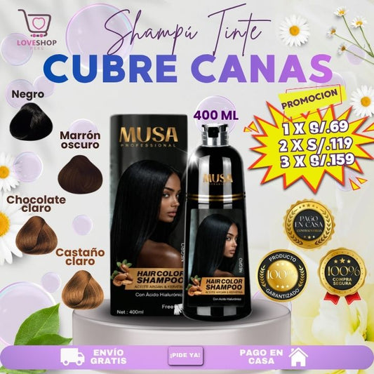 SHAMPU TINTE CUBRE CANA DE 400ML