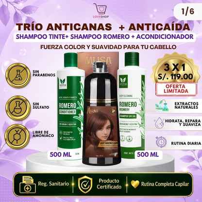 TRÍO CAPILAR COMPLETO ( SHAMPOO TINTE + SHAMPOO ROMERO + ACONDICIONADOR ROMERO)