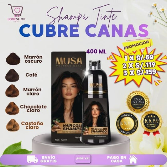 SHAMPU TINTE CUBRE CANA DE 400ML